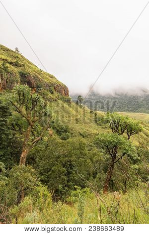 The Trail From Lookout Rock To Tiger Falls On The Slopes Of The Foothills Of The Kwazulu-natal Drake