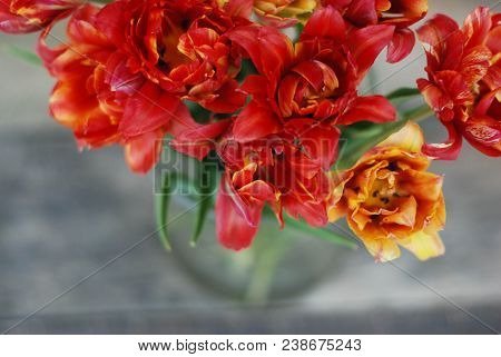 Spring Flowers. Bouquet Of Red Tulips On Brown Wooden Background. Mother's Day And Valentines Day Ba