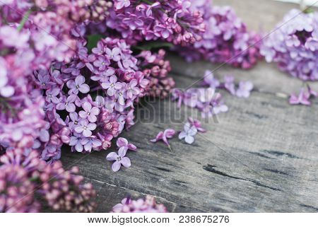Spring Flowers. Lilac Flowers Frame On White Wooden Background. Top View, Flat Lay