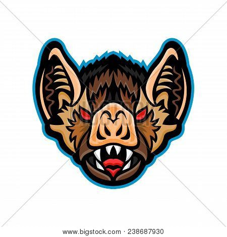 Mascot Icon Illustration Of Head Of A Vampire Bat, A Bat Specie Native To The Americas Viewed From F