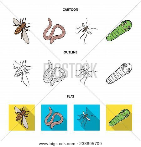Arthropods Insect Mosquito, Bee.earth Worm, Caterpillar, Vermicular Set Collection Icons In Cartoon,
