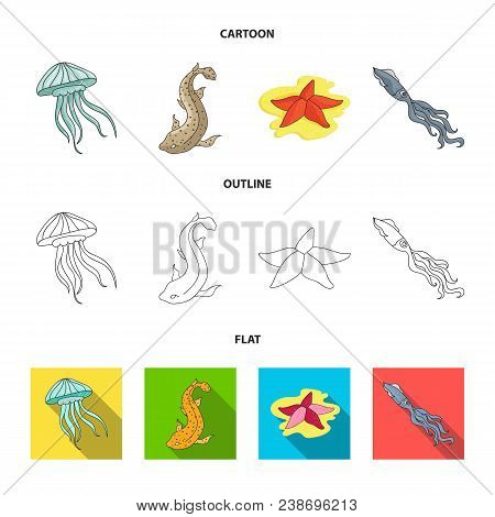 Jellyfish, Squid And Other Species.sea Animals Set Collection Icons In Cartoon, Outline, Flat Style 