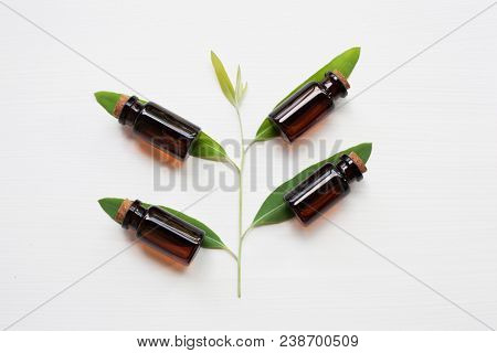 Eucalyptus  Essetial Oil Bottle  On White Background.