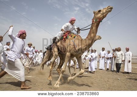 Men On Camels At The Start Of A Race