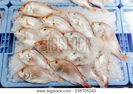 red seabreams fish on ice tray