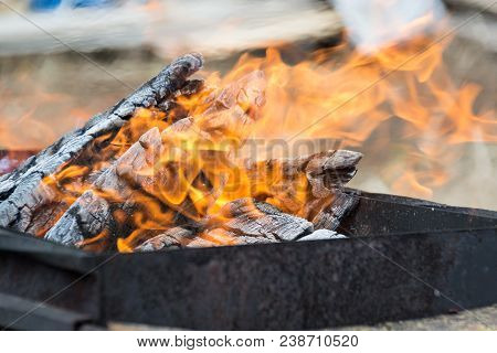 Flame Of Fire. Burning Firewood On The Grill For Shish Kebab. Picnic, Rest.