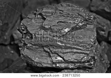 Heap Of Coal. One Rock Of Coal Close Up On Black Coal Background. Place For Text. Copy Space.high Qu