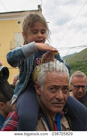 Cocullo, Italy - May 1, 2018: Portrait Of Pretty Childcaressing A Big Snake For The Feast Of Saint D