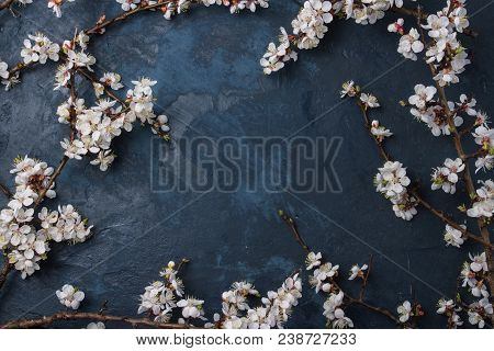 Cherry Branch With Spring Flowers On A Dark Blue Background