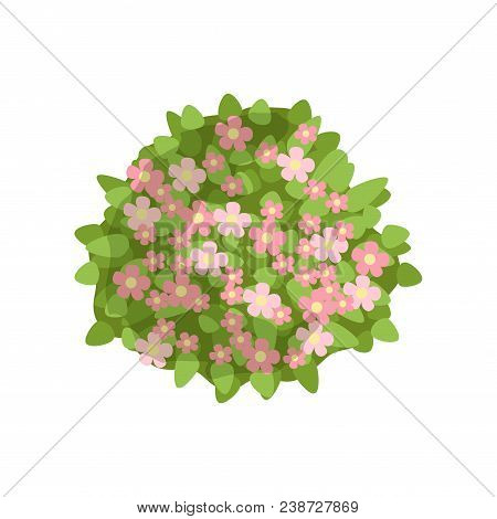 Green Bush With Pink Flowers, Landscape Design Element, Top View Vector Illustration Isolated On A W