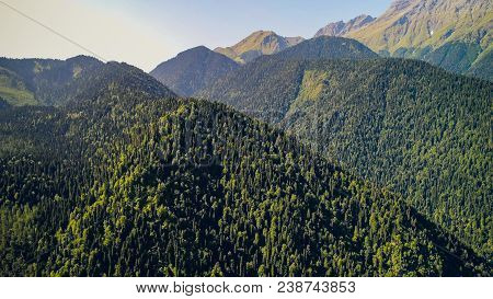 Aerial View Of The Resort Town Gagra, Abkhazia, Georgia