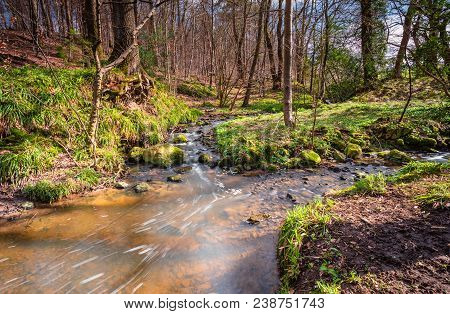 Letah Burn In Springtime Woodland, That Is Letah Wood A Rural Ancient Woodland Through Which Letah B
