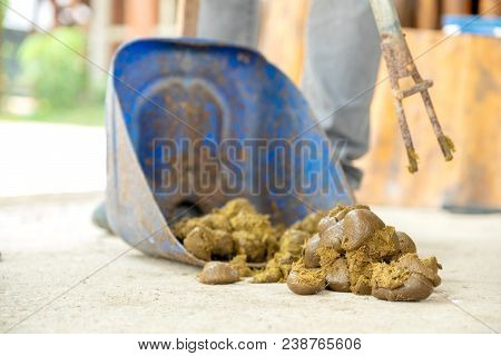 Feces Horse Big Is Being Swept Away.