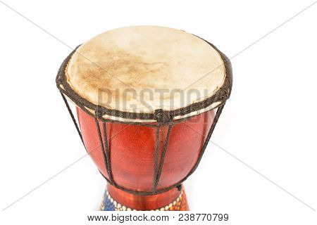 African Red Drum Isolated On White Background