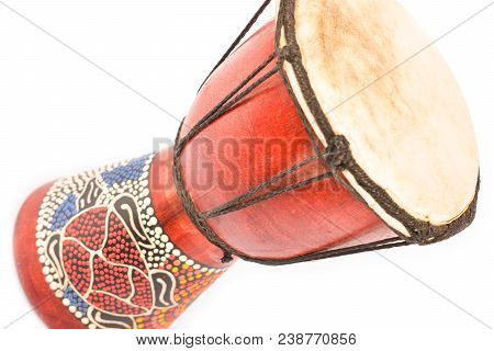 African Red Drum Isolated On White Background
