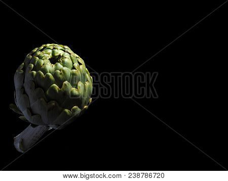 Alcachofa - Artichoke 

The Artichoke (cynara Scolymus) Is A Vegetable. The Edible Portion Is The Fl