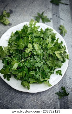 Leaves Of Washed Parsley On A Plate