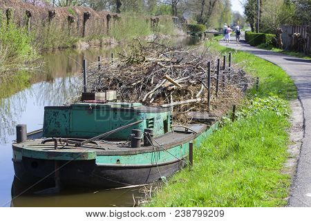 Willow Branches On A Pontoon In Reeuwijk In The Netherlands