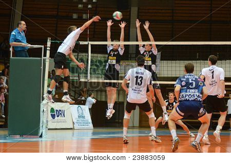 KAPOSVAR, Ungheria - 21 settembre: Roland Gergye (bianco 8) in azione presso un campione nazionale ungherese