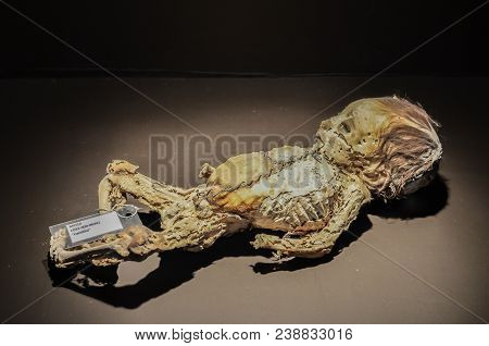 Guanajuato, Mexico - May 06, 2013: El Museo De Las Momias, Mummies Of Guanajuato, Buried In 1833 Due