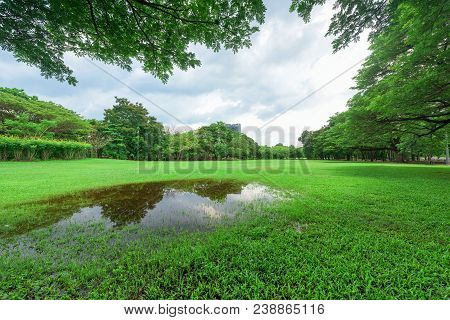 Beautiful Landscape In Park With Green Grass Field.