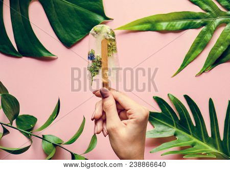 Homemade summer wildflower ice pop