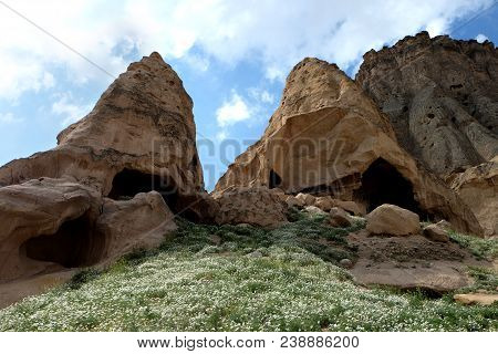 Ruins Of Huge Caves In Capadocia City, Turkey With Flower Field In The Foreground