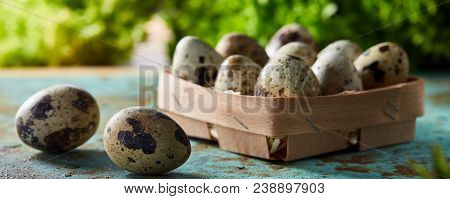 Quail Eggs In The Box And Saparated Ones On Blue Textured Surface With Green Blurred Natural Leaves 
