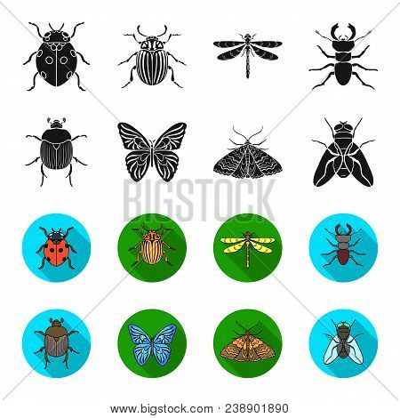 Wrecker, Parasite, Nature, Butterfly .insects Set Collection Icons In Black, Flet Style Vector Symbo