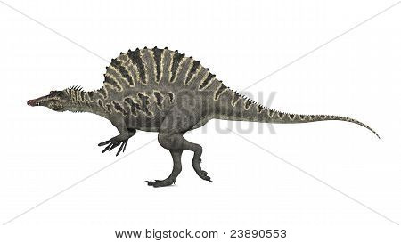 Spinosaurus Dinosaurier