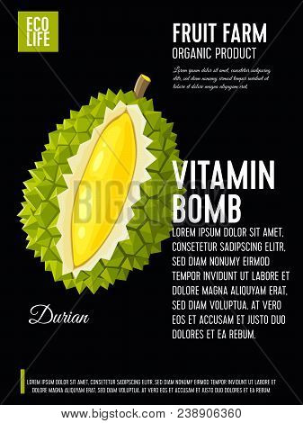 Packaging Label. Concept Design With Inscription. Durian Fruit. Vector Flat Poster Template With Tex