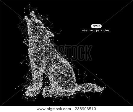 Vector Abstract Illustration Of Wolf.