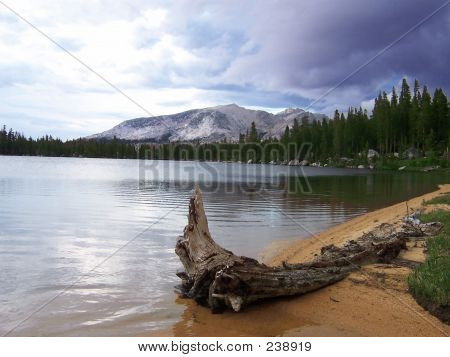 High Sierra