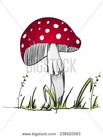 Illustration Of A Red Mushroom On A White Background. Red Poison Mushroom Isolated On White Backgrou