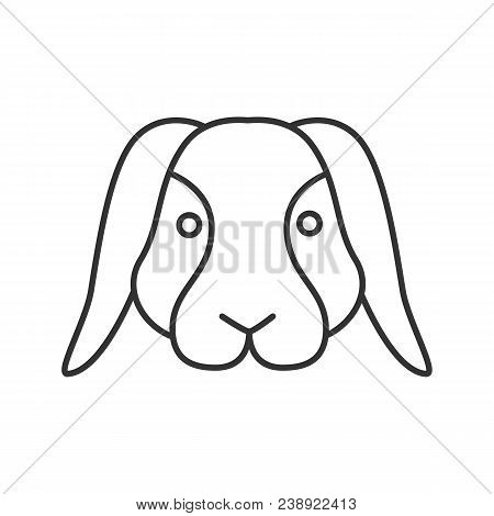 Dwarf Rabbit Linear Icon. Thin Line Illustration. Bunny. Hare. Contour Symbol. Vector Isolated Outli