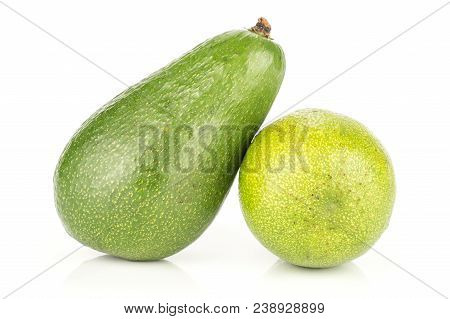 Two Green Smooth Avocado Isolated On White Background Ripe Shiny Bacon Variety Pair