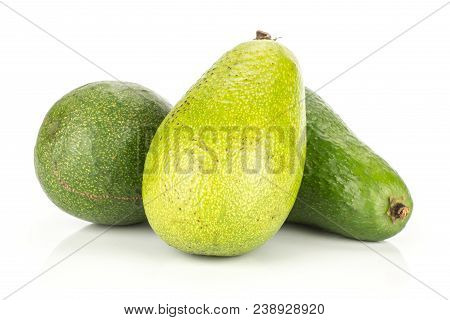 Three Green Smooth Avocado Isolated On White Background Ripe Shiny Bacon Variety