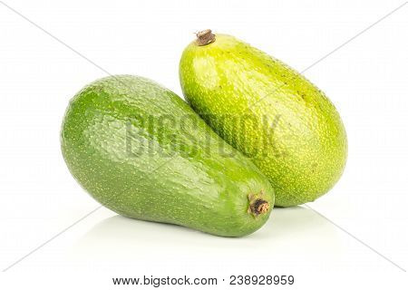 Two Green Smooth Avocado Isolated On White Background Ripe Bacon Variety