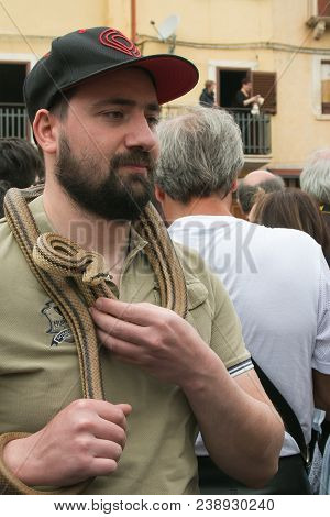 Cocullo, Italy - May 1, 2018: Portrait Of Man With Big Snake In The Neck For The Saint Dominic Feast