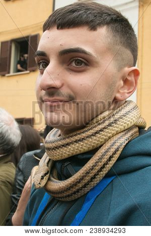 Cocullo, Italy - May 1, 2018: Portrait Of Young Boy With Snake In The Neck At The Saint Dominic Feas