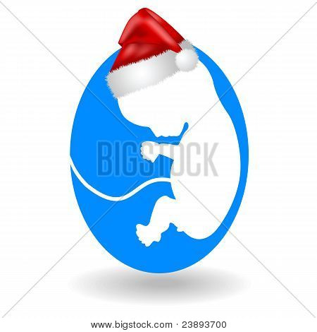 Natale e feto