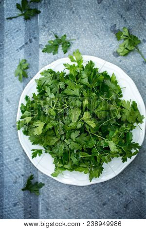 Leaves Of Washed Parsley On A Plate