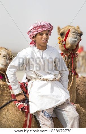 Omani Boy With His Camels In A Countryside Of Oman