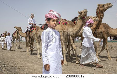 Ibri, Oman, 28th April 2018: Young Omani Man With His Camel Before A Race