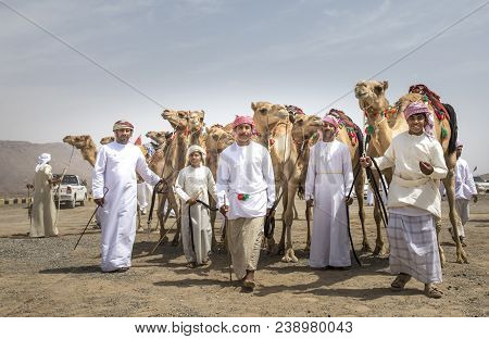 Ibri, Oman, 28th April 2018: Young Omani Man With His Camel Before A Race