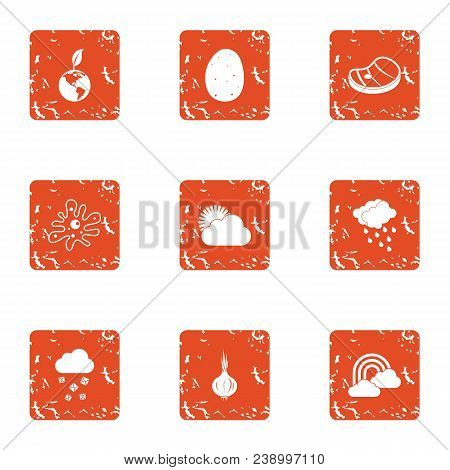 Conservation Icons Set. Grunge Set Of 9 Conservation Vector Icons For Web Isolated On White Backgrou