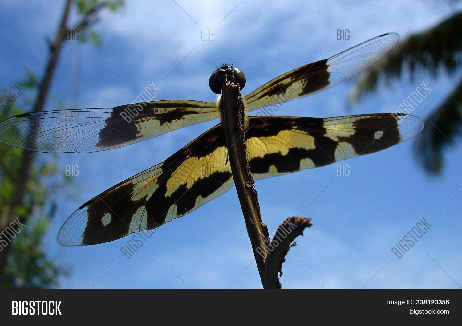 Computer Desktop Image Photo Free Trial Bigstock