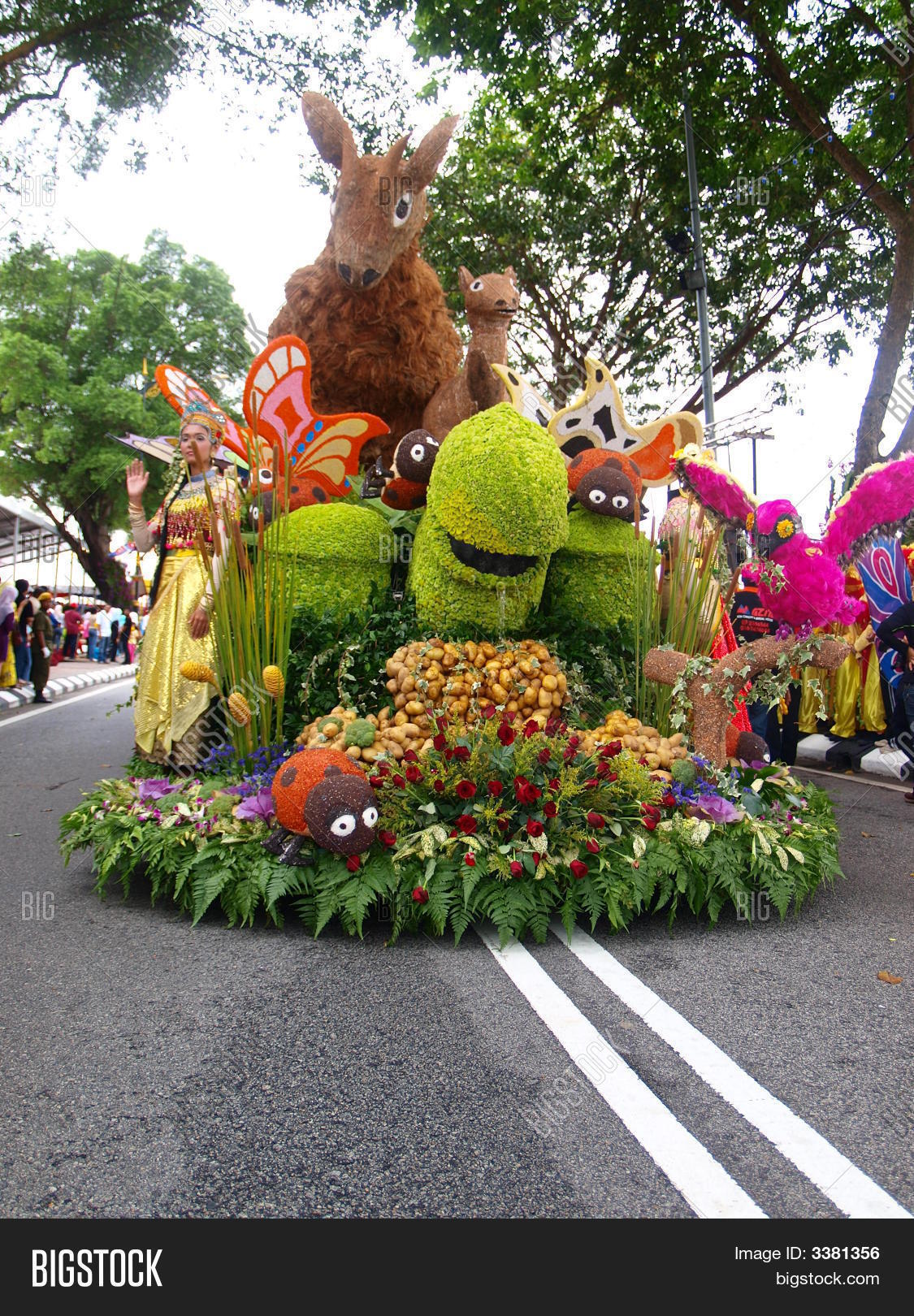 Image Preview