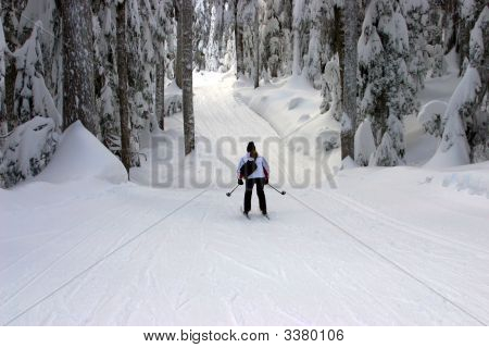 Country skiløb