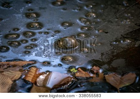 Golden Bubbles Of Sludge Gas On The Watersurface Of A Swamp